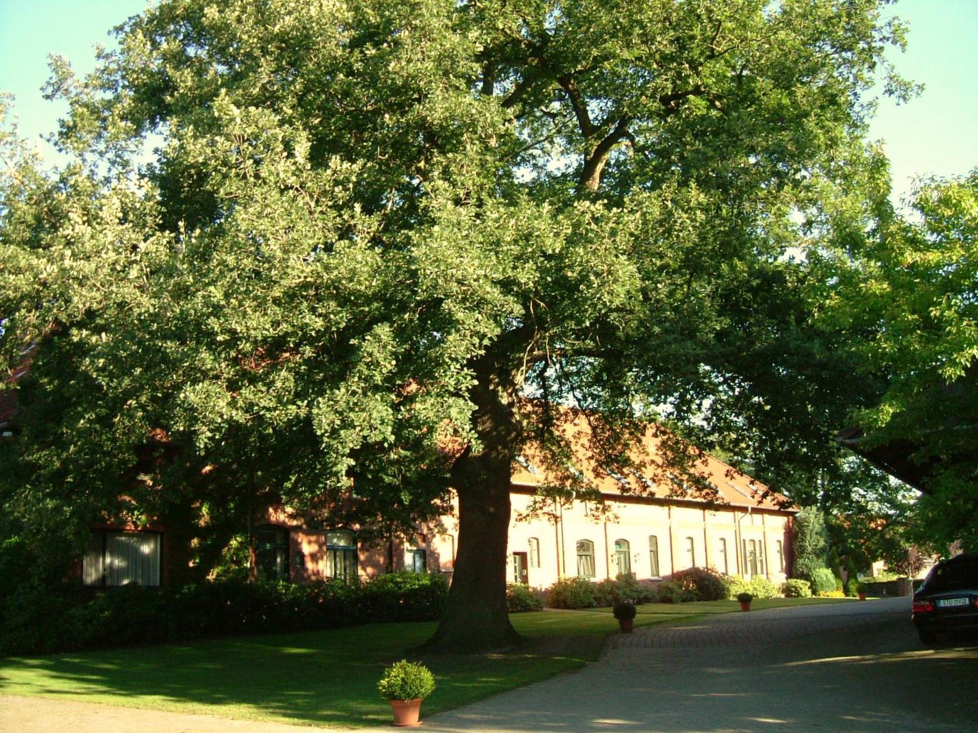 Gaestehaus Schlossgarten Etelsen Exterior photo